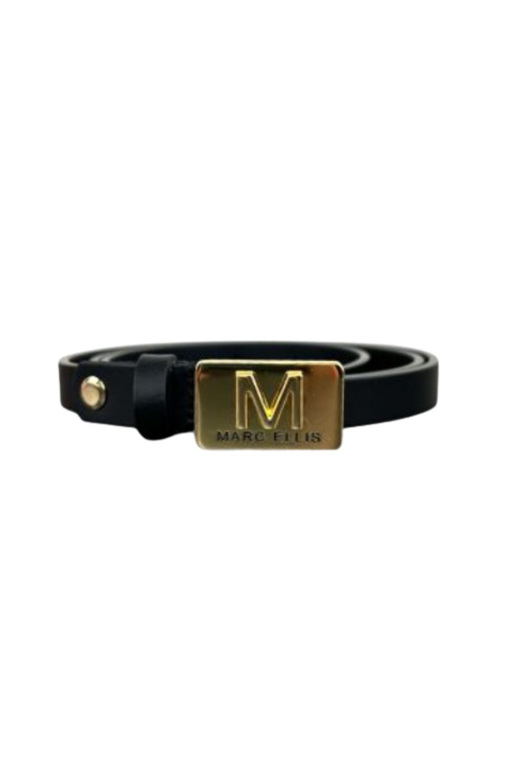 BELT 142 BLK/GOLD - -